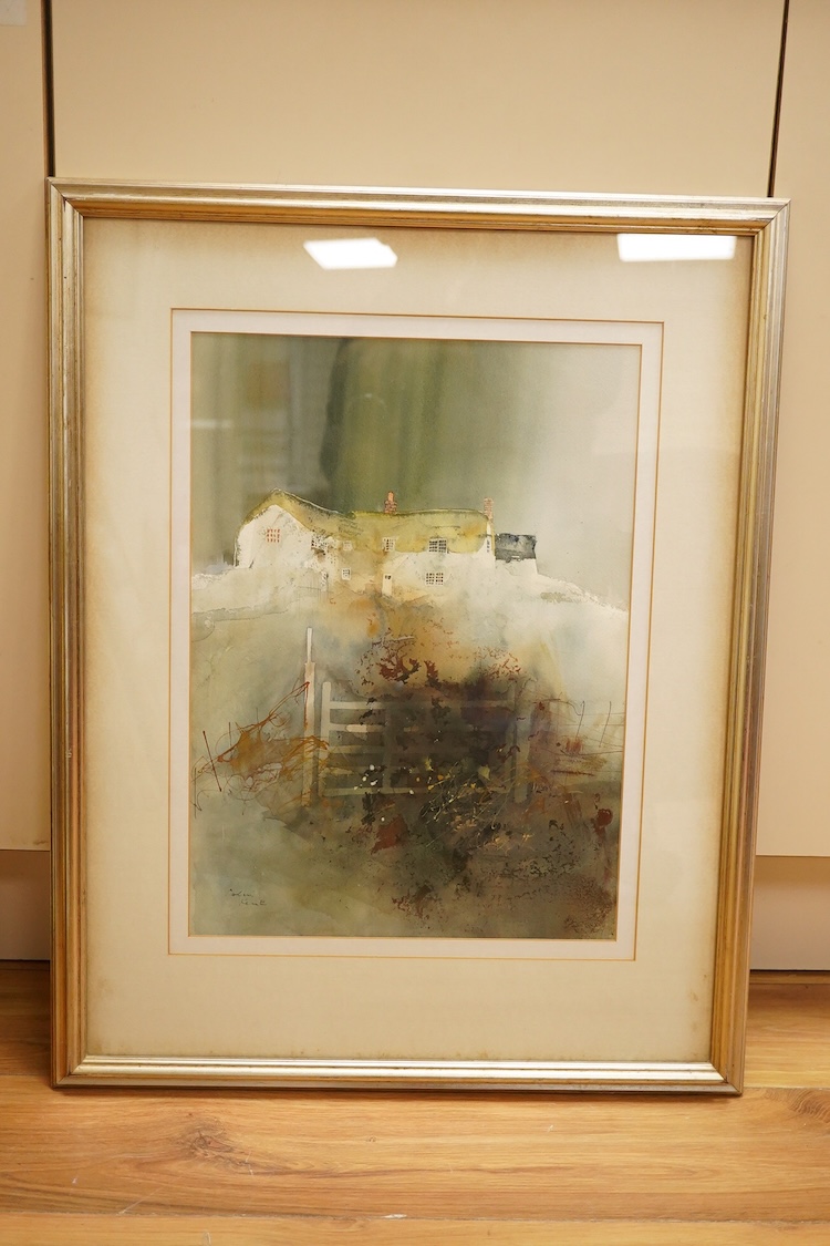 After Andreas Ludwig Kruger (1743-1822), zoological study of a pike (Esox lucius), colour print, 22 x 39cm